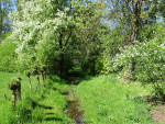 Arboretum Poortbulten